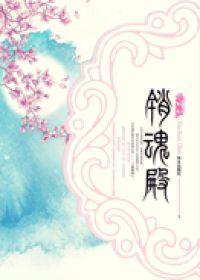 《销魂殿》(实体版全本)作者:十四郎 百度云txt全集下载 封面