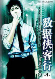 《数据侠客行》（校对版全本）作者：七尺居士 百度云txt全集下载 封面
