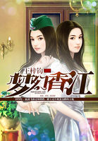 《梦幻香江(调教香江)》（校对版全本）作者：王梓钧 百度云txt全集下载 封面