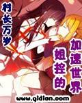 《姐控的加速世界》（校对版全本）作者：村长万岁 百度云txt全集下载 封面