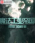 《魔法工业帝国》（校对版全本）作者：晚间八点档 百度云txt全集下载 封面