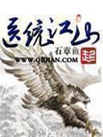 《医统江山》（校对版全本）作者：石章鱼 百度云txt全集下载 封面