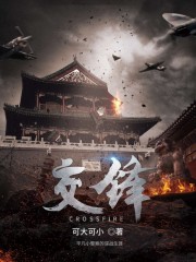 《交锋》（校对版全本）作者：可大可小 百度云txt全集下载 封面